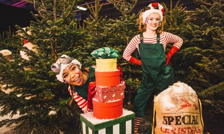 1x Adult or Child Ticket Birmingham NEC -  January 1, 2026 | 5pm - Winter Funland 2023