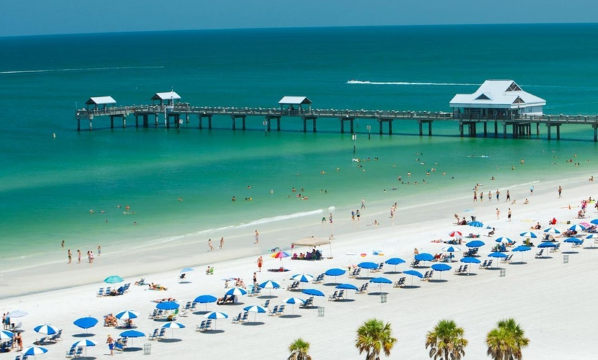 Image 15: Clearwater Beach Fun w/ Dolphin Sightings, Captain Memos & White Sands