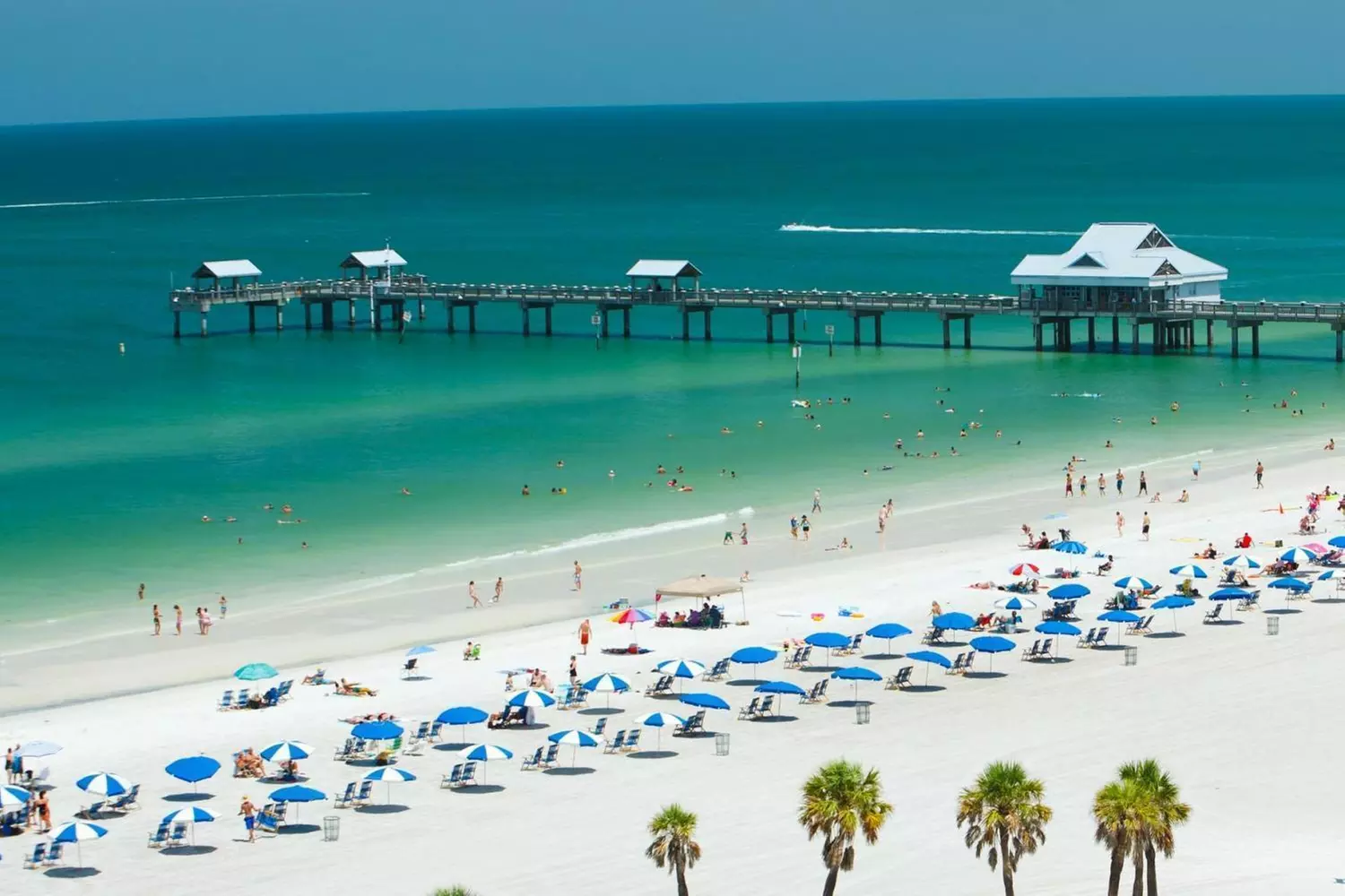 Clearwater Beach Fun w/ Dolphin Sightings, Captain Memos & White Sands