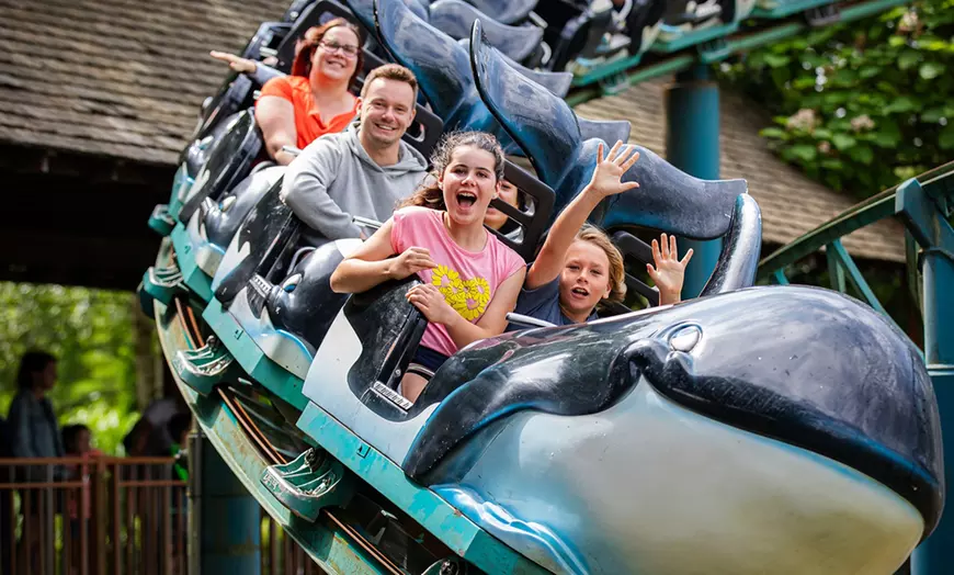 Image 5: Duik in het familieplezier met een dagje dolfinarium