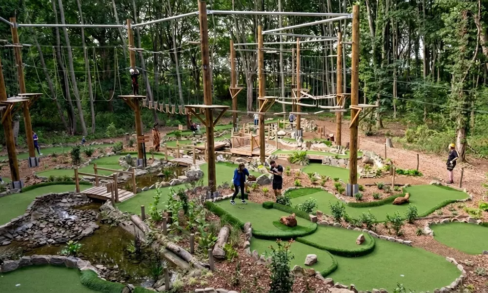 Aerial Assault Course and Zip line for One, Two, or Four People