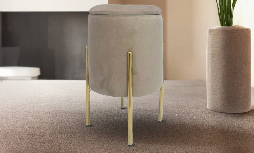 Image 10: Pouf contenitore in velluto