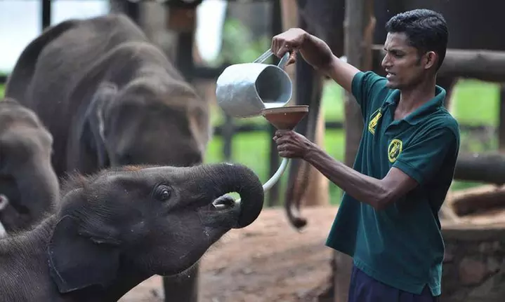 Beruwala: 3 or 4 Nights with Daily Breakfast, Dinner, City Tour & More