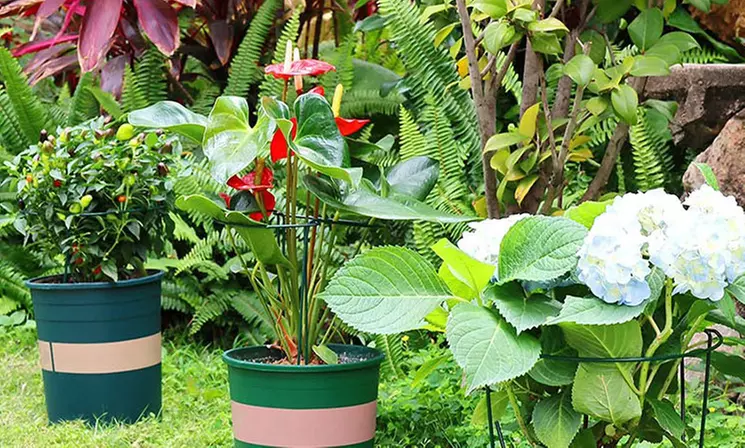 4 Pack Half Round Metal Garden Plant Support Stake for Ourdoor Indoor Plants