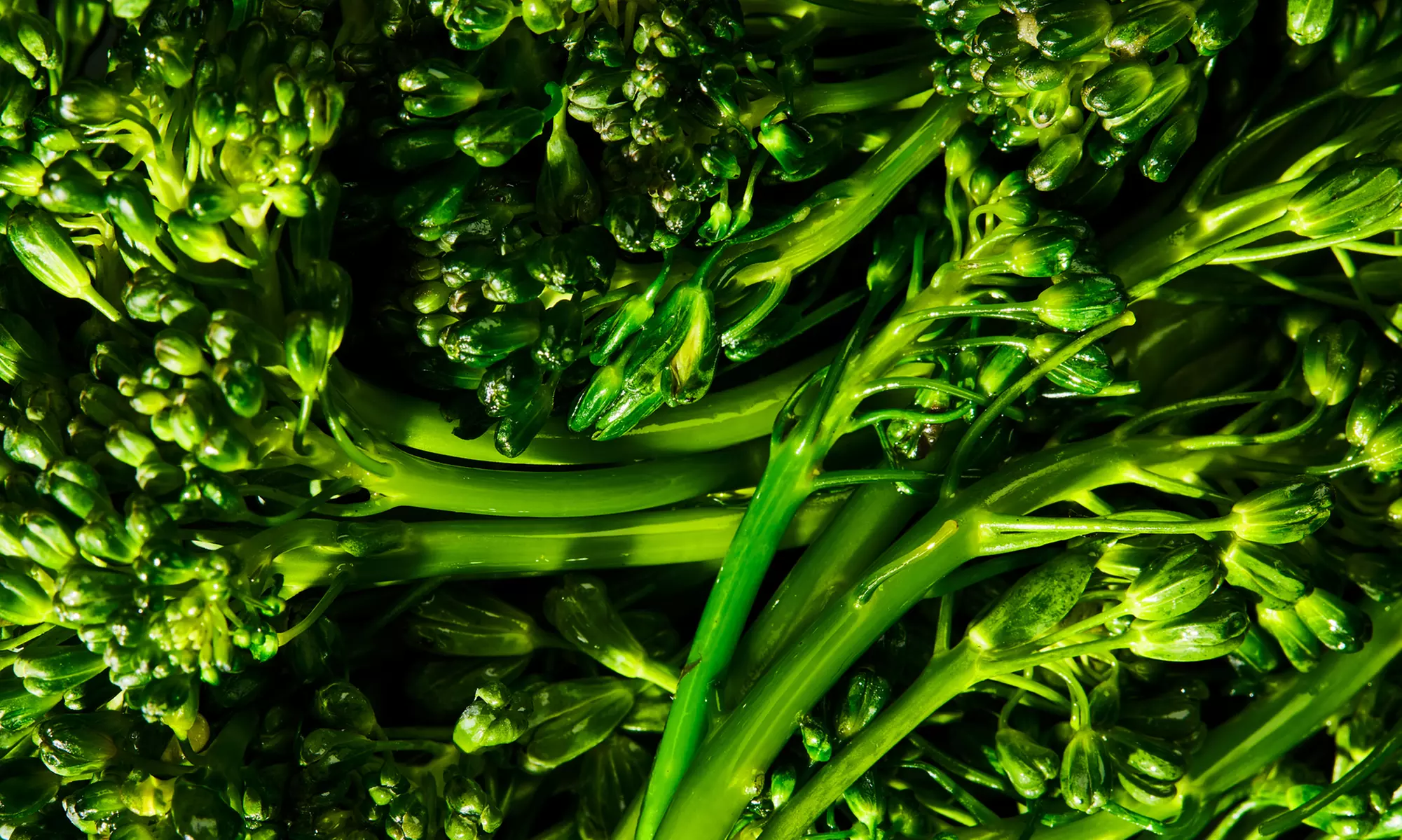 Factor Healthy Meal Delivery