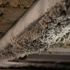 Image 3: Comprehensive Home Wellness Packages: Mold, Air Quality & Dryer Safety