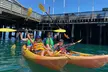 Sea Lion and Wharf Kayak Tour for a Child Or One, Two, or Four Adults at Paddle Sports Center(Up to 30% Off) - Second Medium
