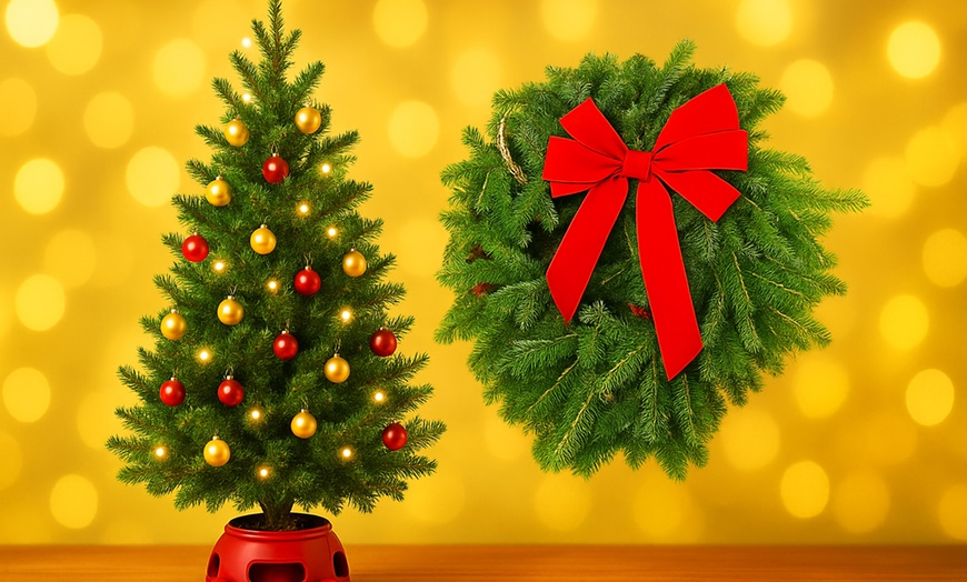 Image 1: Fraser Fir Christmas Wreath or Fraser Fir Christmas Tree with Stand with Free Shipping