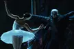„Swan Lake – Beyond the Stage“ mit Live-Streichquartett: Ticket vom 06.03. bis 30.05. (bis 36% sparen) - Second Medium