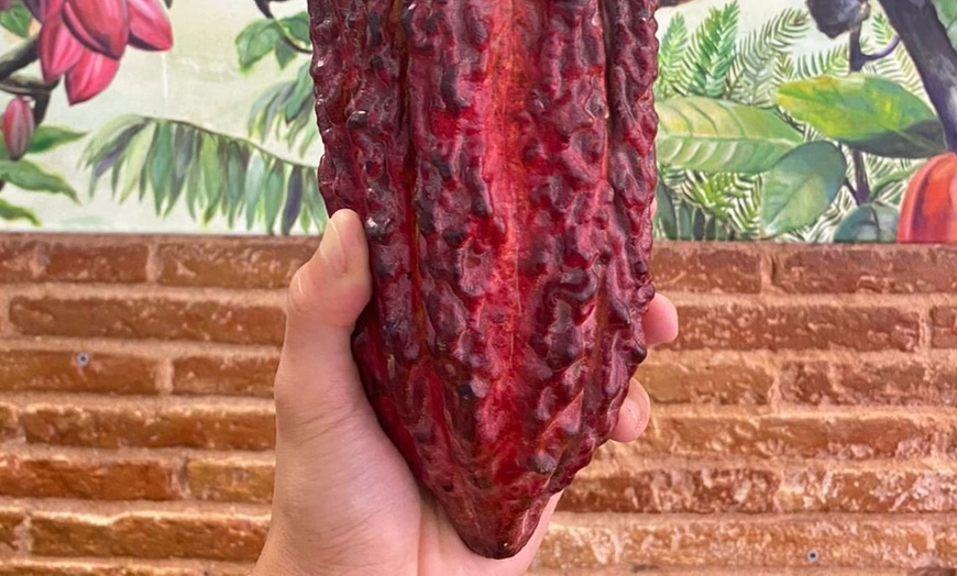 Image 5: Taller de chocolate Bean to Bar para 1, 2 o 4 personas con cata