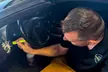 Showroom Shine—Delivered to Clovis & Fresno ! Save Up to 29%! - Second Medium