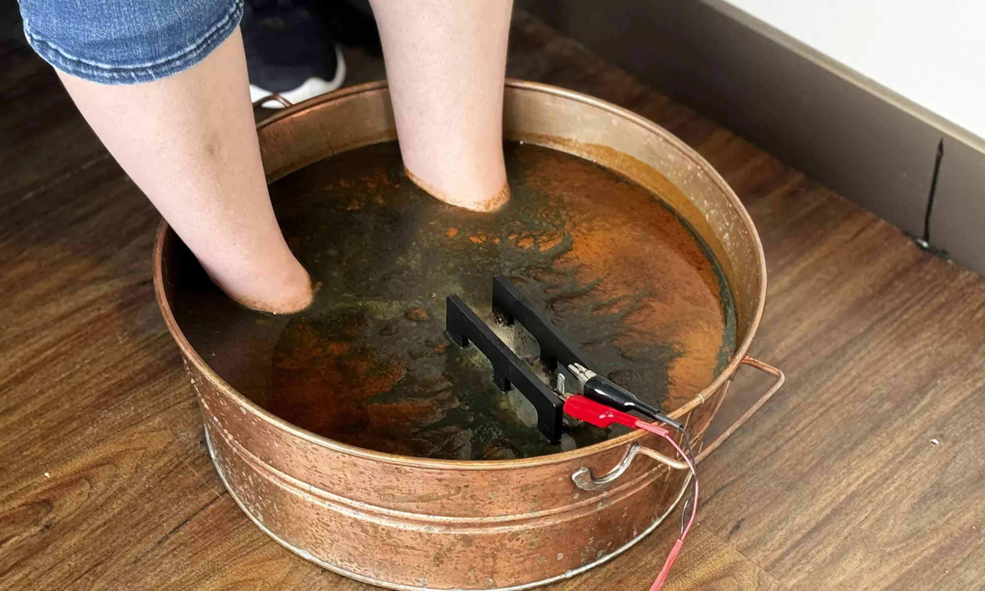 Ionic Detox Foot Bath Sessions – Choose One or Three Treatments