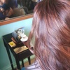 Image 1: Hair Cut and Dry Off / Shampoo, Cut & Blow Dry with Deep Conditioning