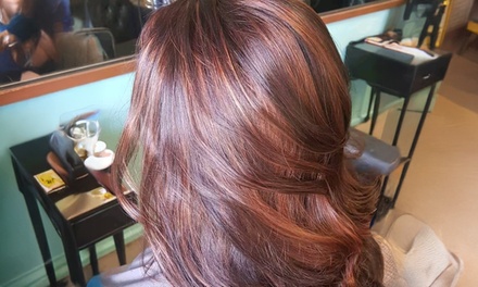 Hair Cut and Dry Off Package - Sweet Lime Hair and Beauty