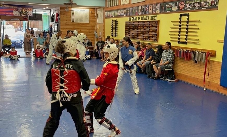 Image 4: Martial Arts Classes for All Ages with Free T-shirt & Trophy