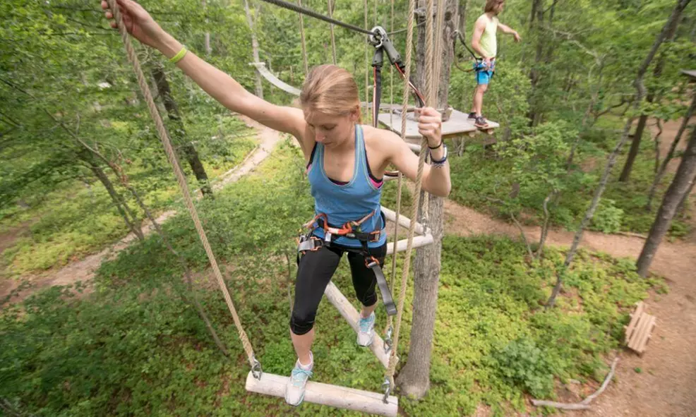 Aerial Adventure Course for Two, Four, or Six People at Tree To Tree Adventure Park Idaho (Up to 39% Off) - Primary Image