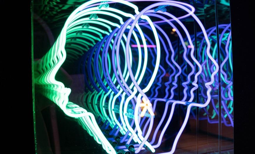 Image 3: World of Illusion Dublin Tickets for Adults and Children!  
