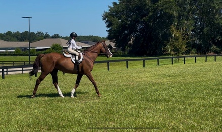 30-Minute Riding Lesson for One - Crosspoint Equestrian