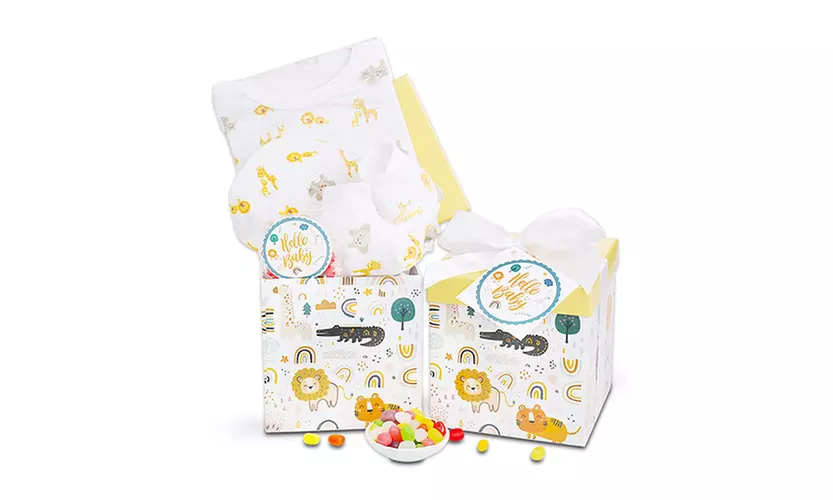 Baby Gift Baskets from Alder Creek (Up to 30% off)