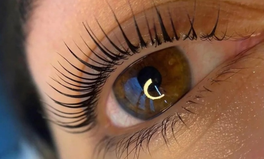 Image 2: Eyebrow Threading, Waxing, Brow Lamination & Henna