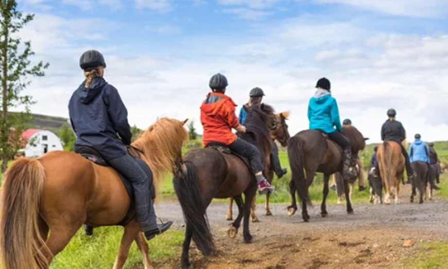 Image 1: Enjoy a 1-hour Horse Riding Tour With City Views