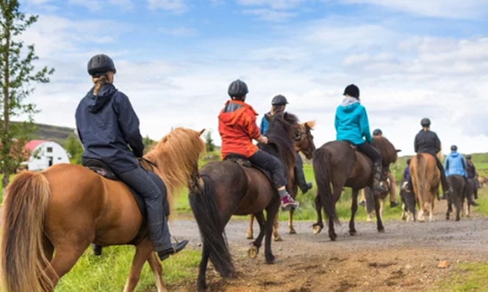 Get One-Hour Horse Riding Tour for upto Four People with City Views