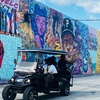 Image 1: Wynwood Street Art Tours: Miami's Award-Winning Urban Art Experience