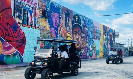 Street Art Walking Tour - For 1 - Wynwood Street Art Walking Tour - Miami