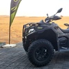 Image 3: Feel the Rush with a 30 min Quad or Buggy Dune Dubai Desert Experience