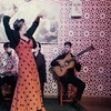 Image 1: Entrada a espectáculo flamenco con bebida incluida 