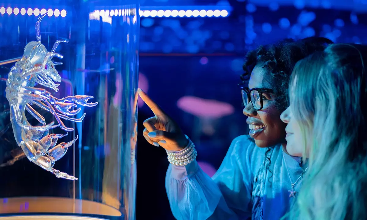 California Academy of Sciences: All Access Admission Tickets!