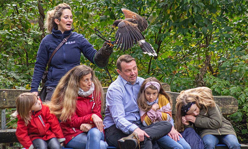 Image 9: Tagesticket Wildpark Müden