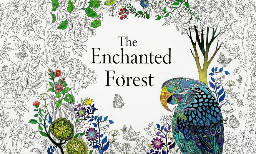 Image 5: Adult Colouring Book Collection for Mindfulness Available in 3 Designs