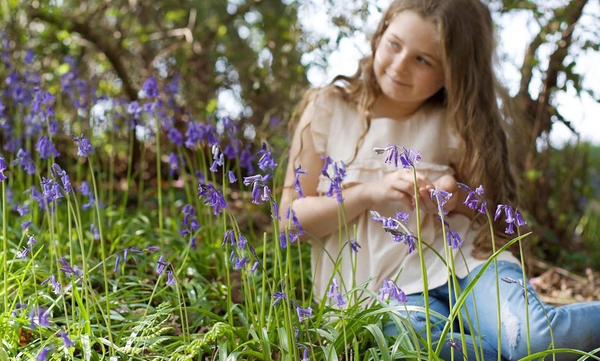 Image 17: Capture Family Magic with a Local Photoshoot in Swansea!