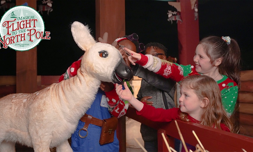 Image 3: Stone Mountain Park: Festive Holidays & Thrilling Adventures – Georgia