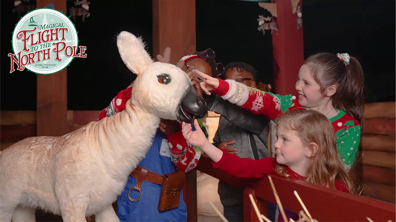 Experience Festive Holiday Magic & Lakeside Zipline Thrills at Stone Mountain Park (Save up to 50%)