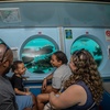 Image 4: Nautilus Semi-Submarine Tours—Fun for Kids, Adults & Seniors!
