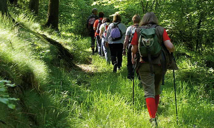 3 Tage Yoga-Retreat mit Verpflegung im Teutoburger Wald