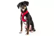 FurHaven Pet Easy Comfort Mesh Dog Harness - Second Medium
