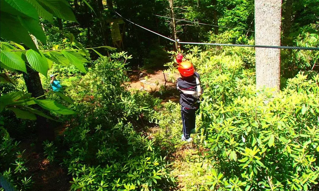 Up to 31% Off Adventure Zipline Tours at Sky Valley Zip Tours