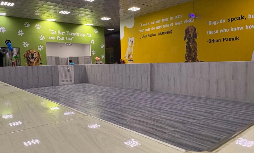 Image 3: Cat or Dog Boarding With One or Three Night Stays or Training Packages