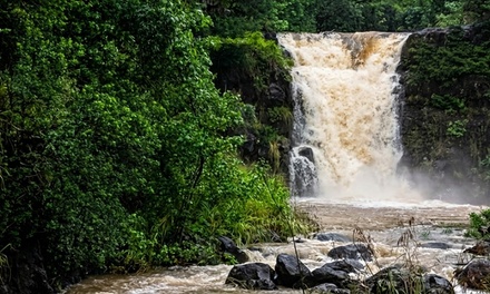 North Shore Waimea Valley/Haleiwa Shuttle for 2 people 7-8hours - Wildlife Hawaii in Oahu, Hawaii