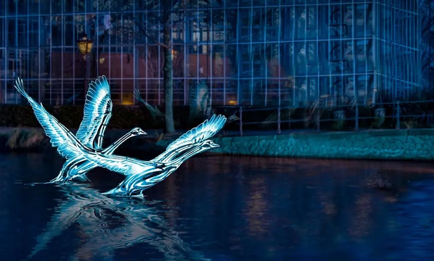 Image 3: Fonkelend Amsterdam, weerspiegeld in het water: ALF 2025/2026