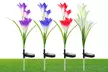 2-8Pcs Lily Flower Solar LED Stake Lamp Lights for Garden, Patio, or Backyard - Second Medium