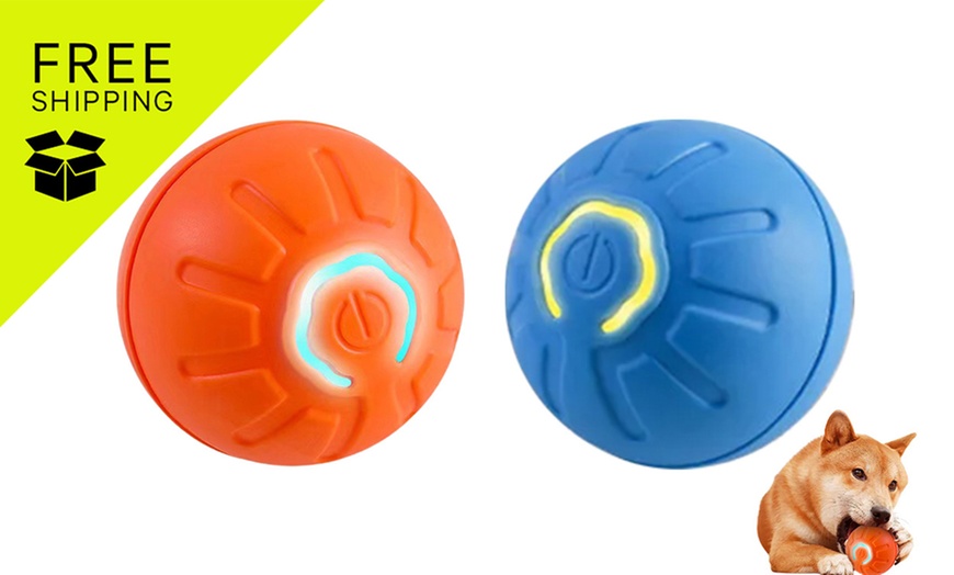 Image 1: Vibrating Ball For Pet