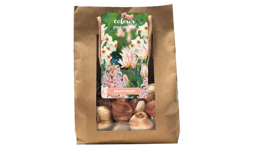 Image 5: 25x Blumenzwiebel-Mischung „Color your garden“