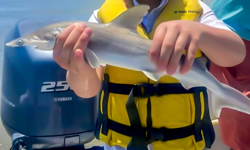 Image 9: 2- or 3-Hr Kid's Fishing Trip/4-Hr Large Shark Trips+ Tarpon (up to 6)