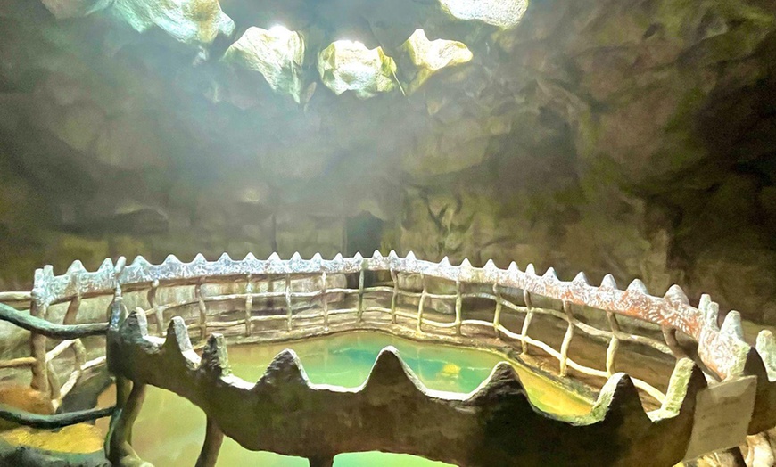 Image 15: Member-Only Deal: Blue River Resort & Hot Springs