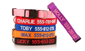 Personalised Pet Collar