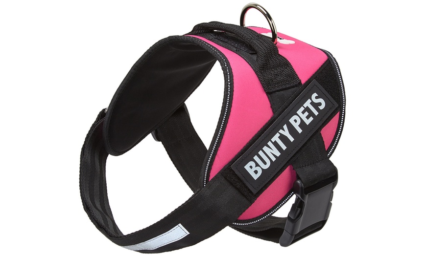 Image 5: Bunty Yukon Pet Harness